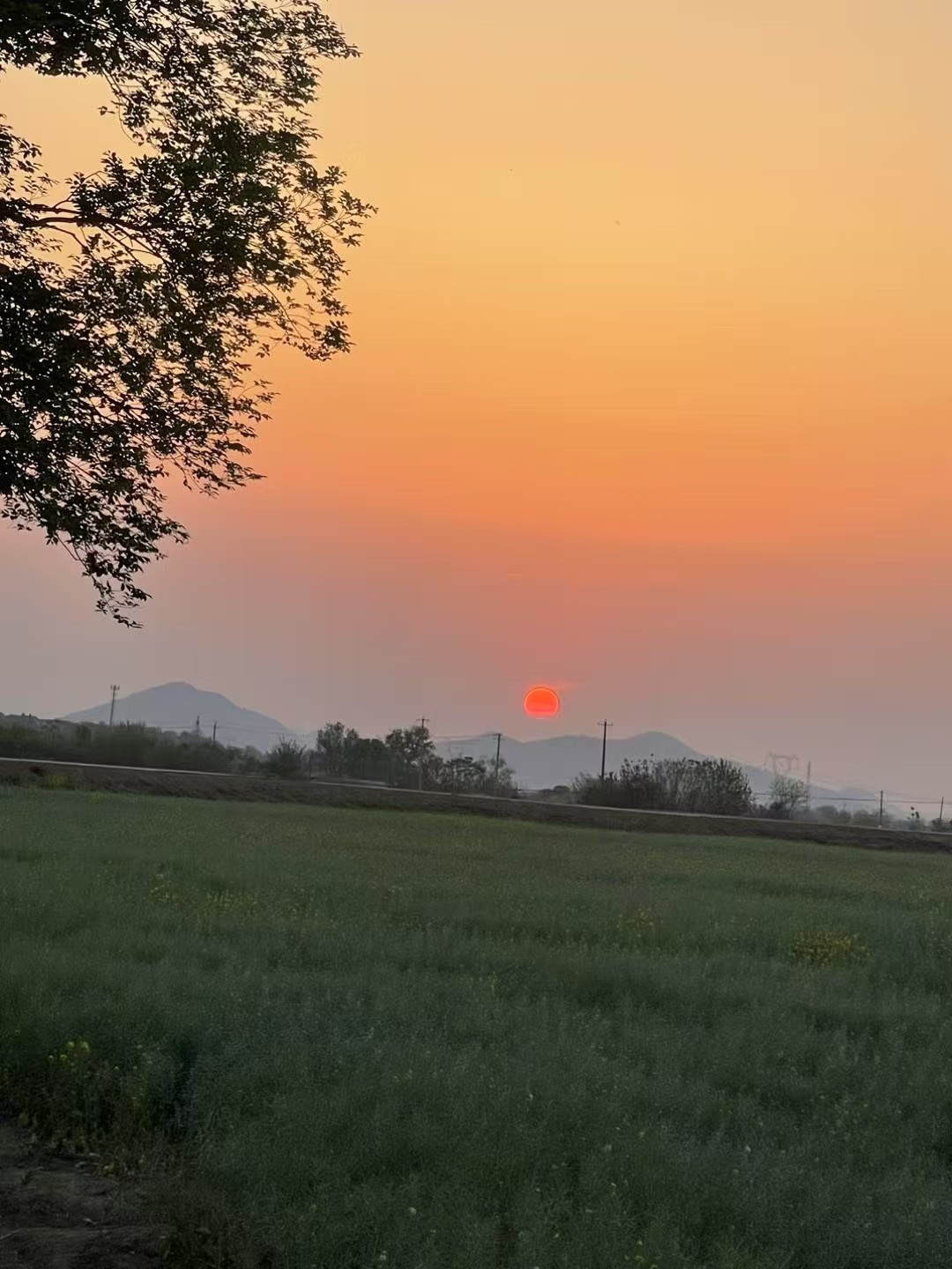 果果～吉好运主播图片