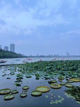 果果～救救榜叭主播照片