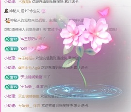 金牌代理❤玲儿❤的图片