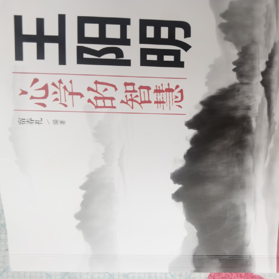 智慧的心学海报