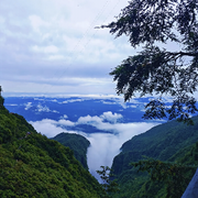 沿途的风景🚞海报