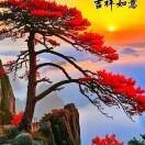 观山月x