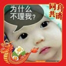 中国龙*w