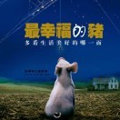 丢了幸福的猪5gl