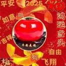 自由飞翔28o