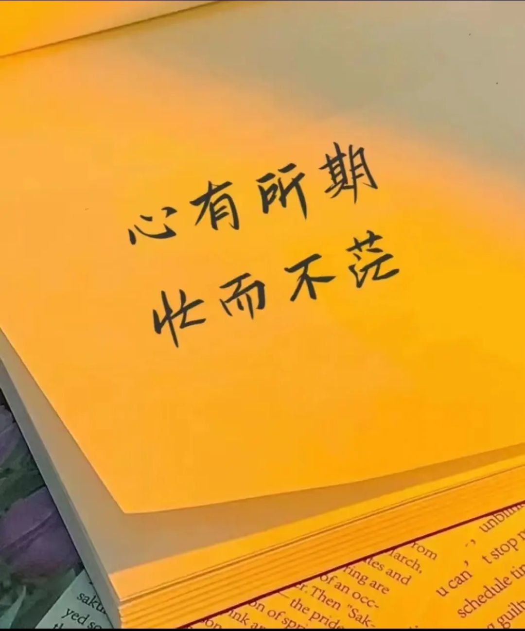 Meiyaerᵧₒᵤ主播图片