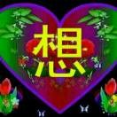 我爱我家.杨振英