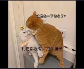 知知.的图片