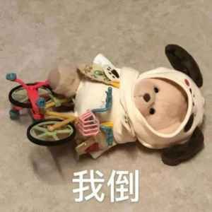 你说我们还会再见么？主播图片