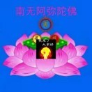 王云霄6