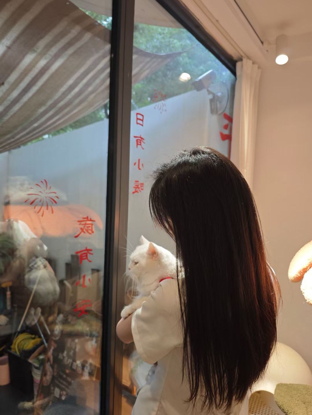梦小小~主播图片
