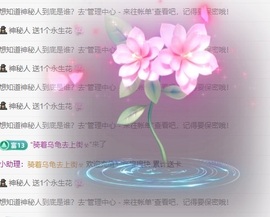 金牌代理❤玲儿❤的图片