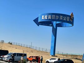 保♂罗主播照片