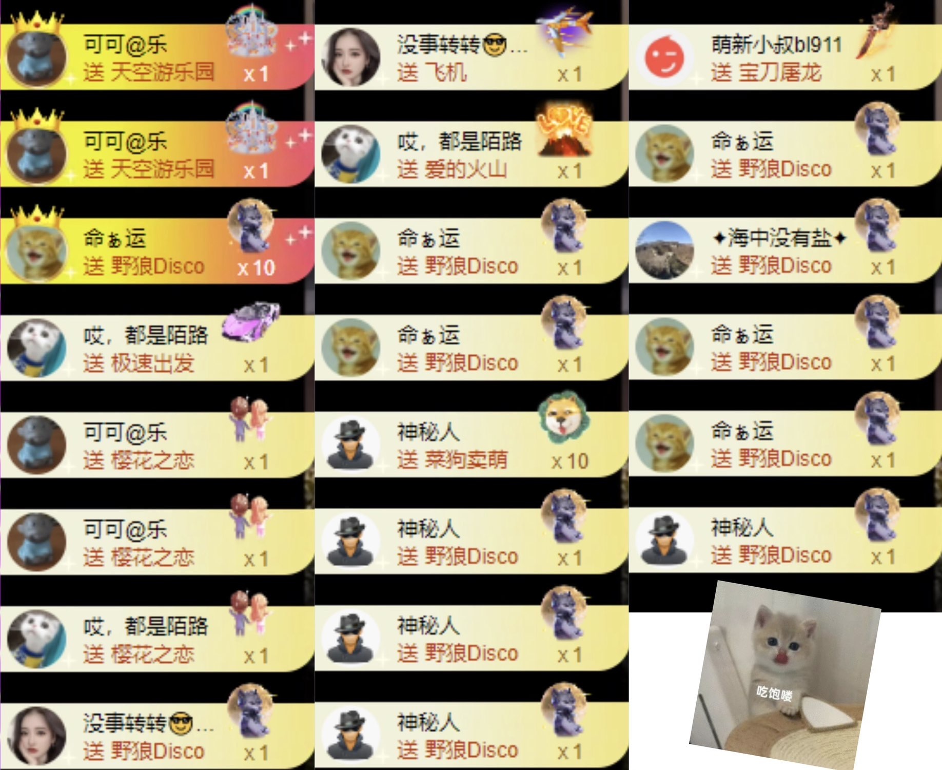 洋子～求逐光票主播圖片