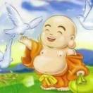 月下圆梦