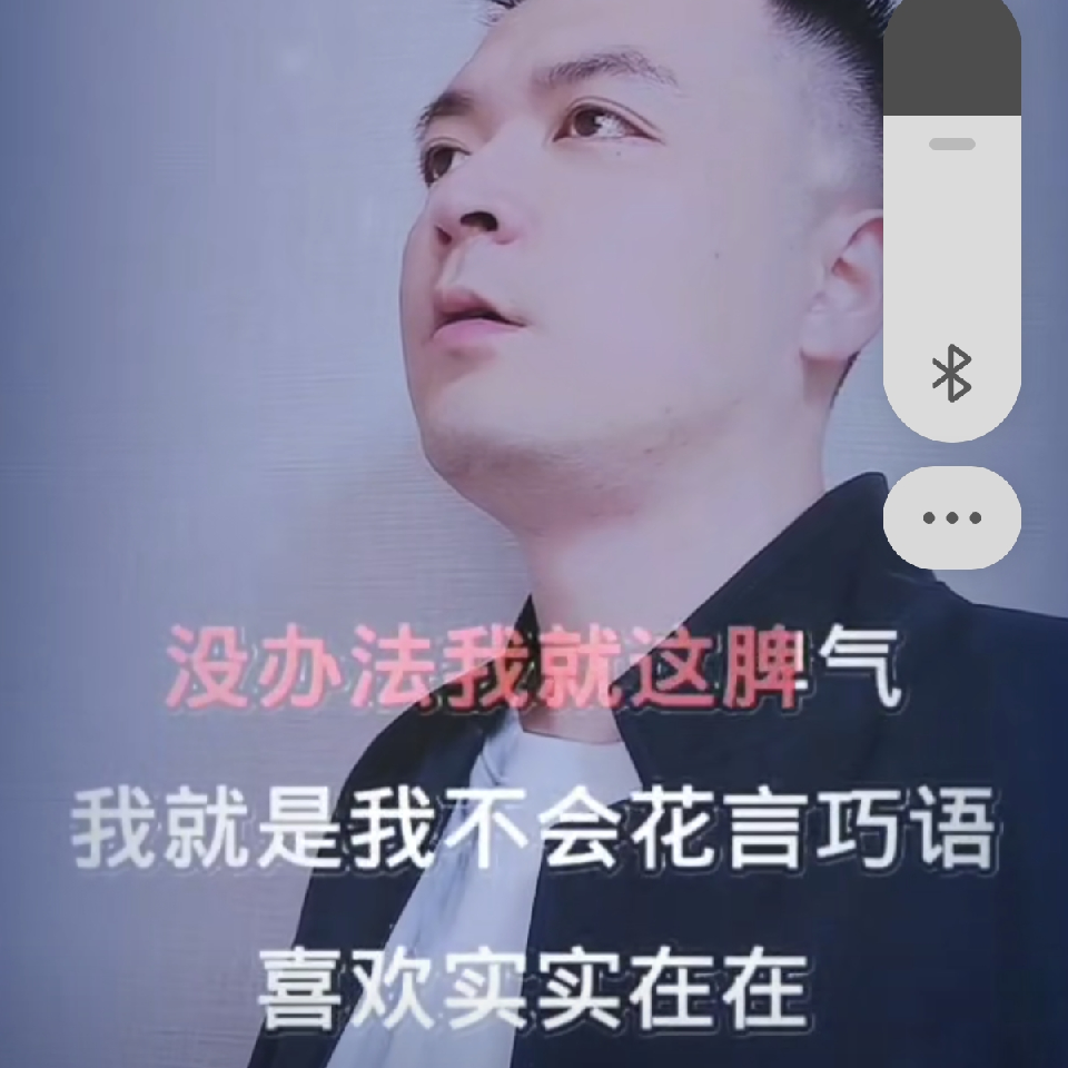 梅花问情海报