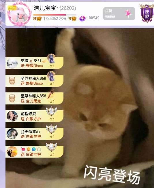 洁儿宝宝呀主播图片