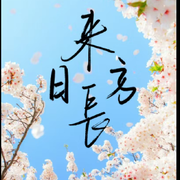 🍂_紫色/物语_