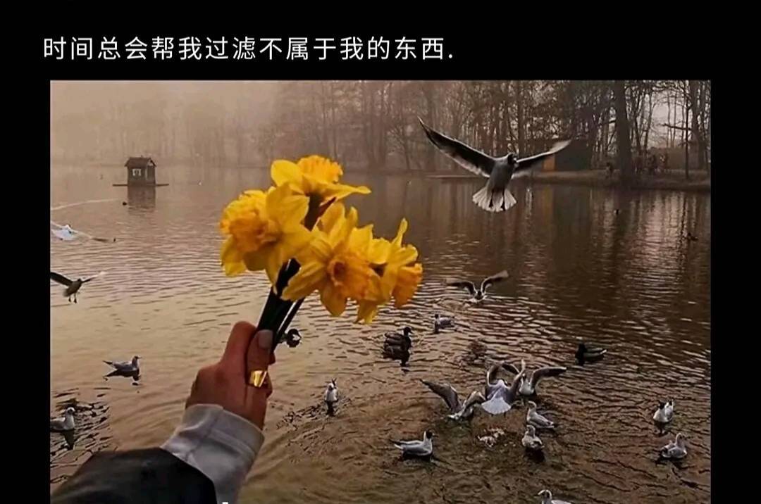 鱼籽酱♊坚持坚持主播图片