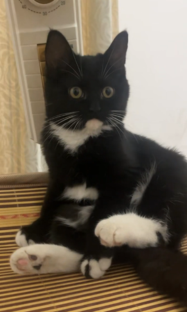 海绵宝宝🐾的图片