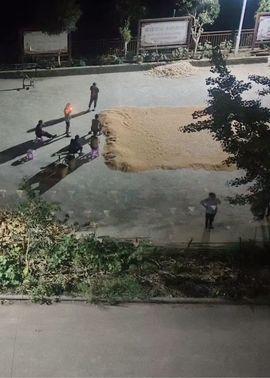 枫林琬的图片