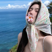 杨羊洋🐑
