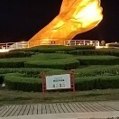 北国之春p9