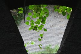 新人莳悦的图片