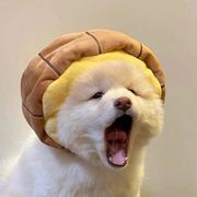 秧秧来啦