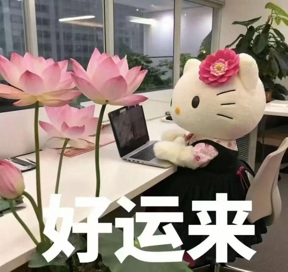 小圆宝(好运连连）~主播图片