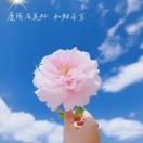 邓骏杰1