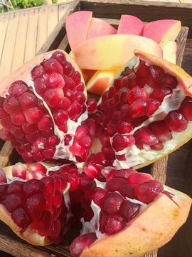 张华龙丨骑行会长的图片