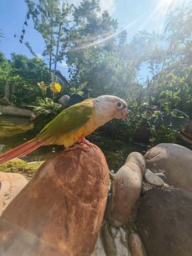 张华龙丨骑行会长的图片