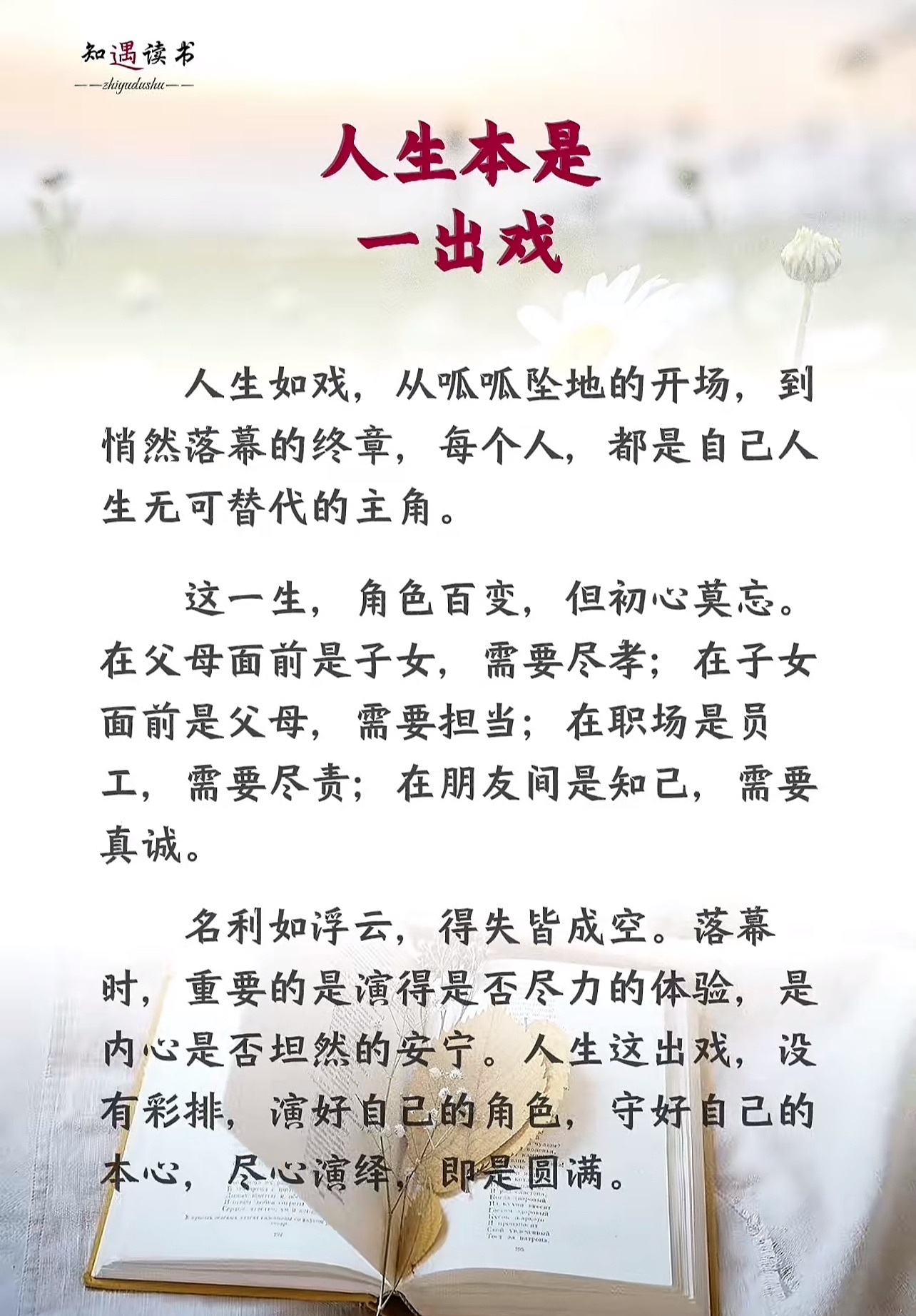 晓菲🌹8号见🎤主播图片
