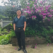 寂寞单身一个人的用户头像
