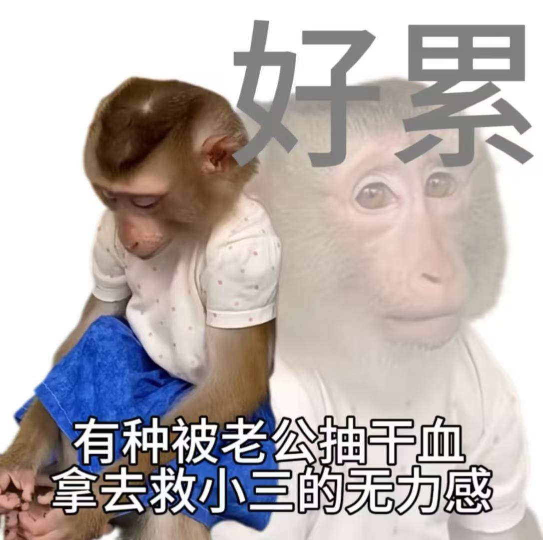 洁儿宝宝呀主播图片