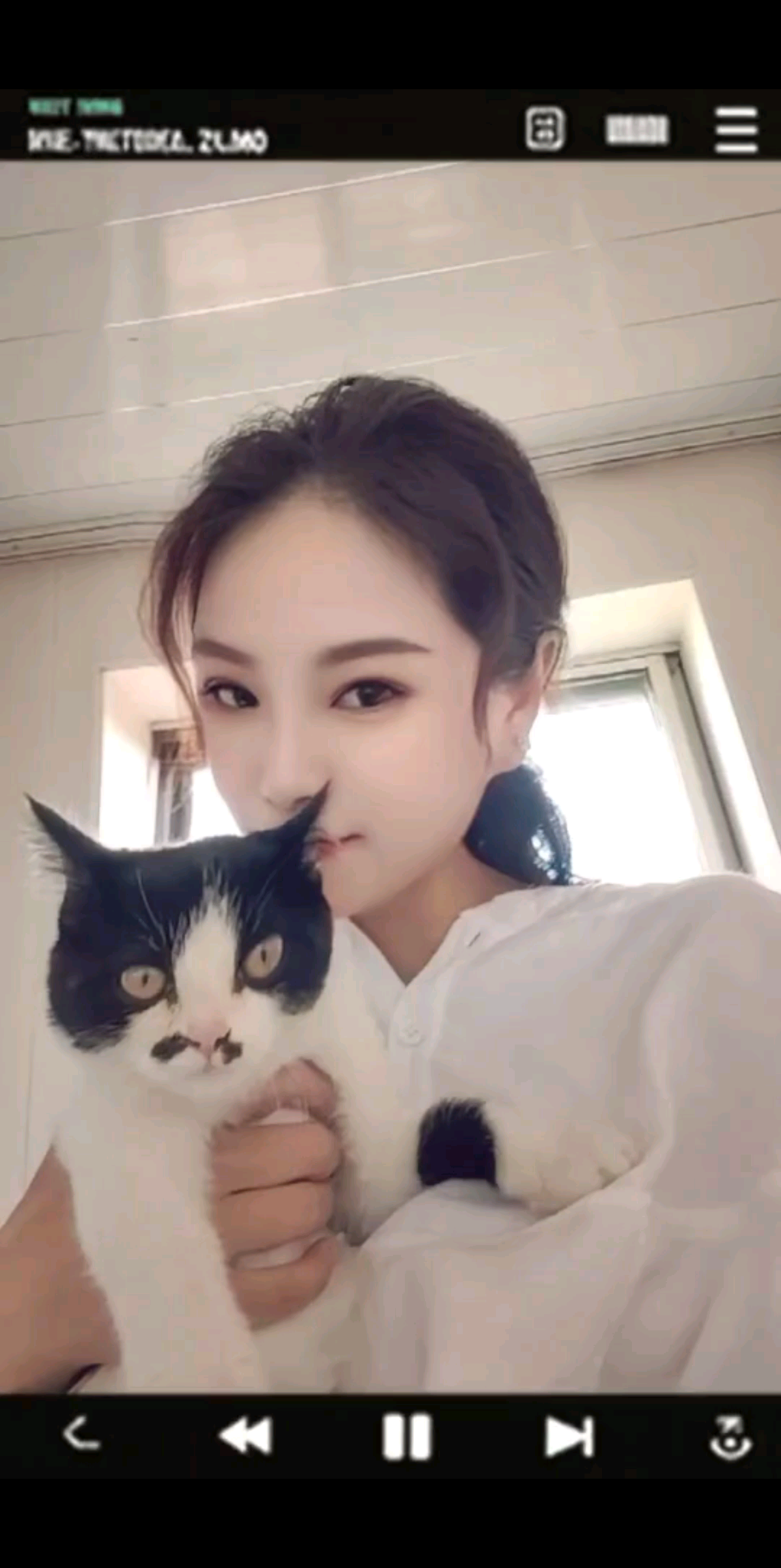 花花