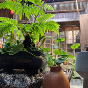 時光不语，静待花开