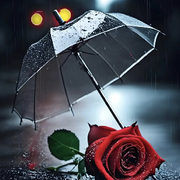 瘦🥀🥀