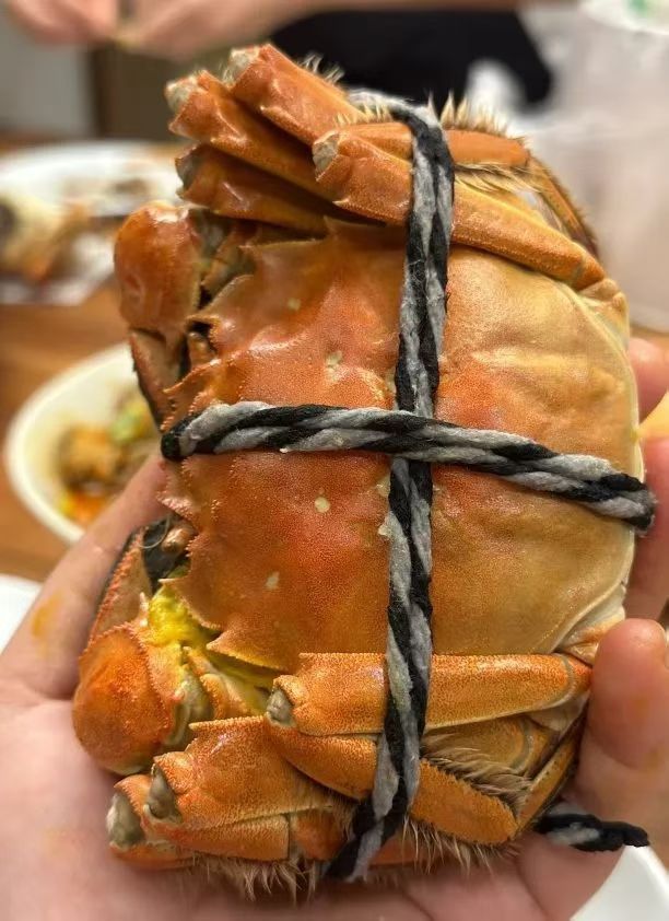 保♂罗主播图片