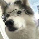 795660