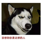 我是豆豆的好盆友海报