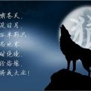 东狼*