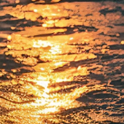 悟空か