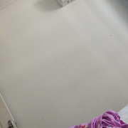 来自墨尔本的碎毛盘海