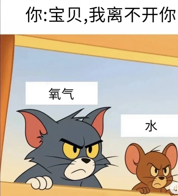 五月代理?自動秒返的主播照片