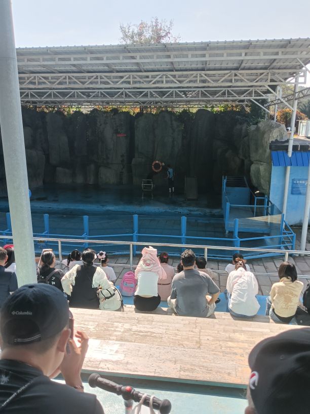 亲爱的你在想我吗冷凡主播图片