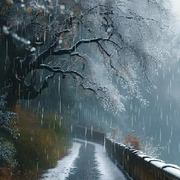雨雪入梦