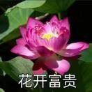 熊宏友