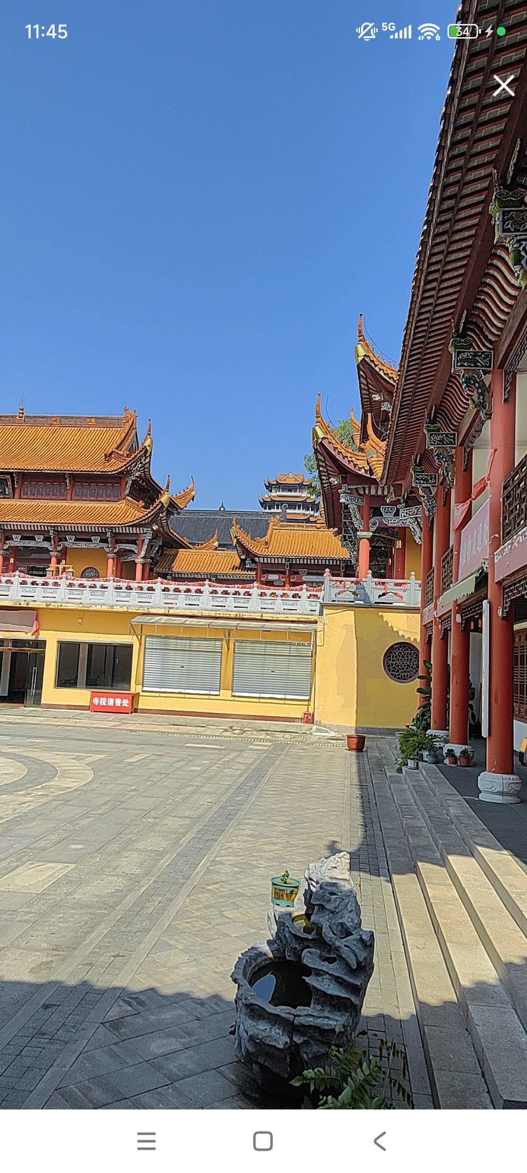婷婷💕感恩有你陪伴主播图片